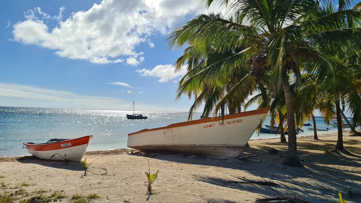 Saona Day Trip